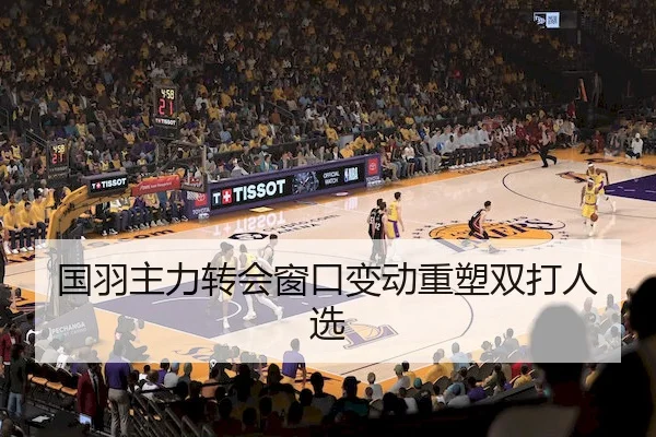 国羽主力转会窗口变动重塑双打人选（HTH）
